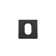 Oval Door Escutcheon gallery detail image