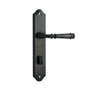 Iver Verona Door Lever on Shouldered Backplate Signature Brass gallery detail image