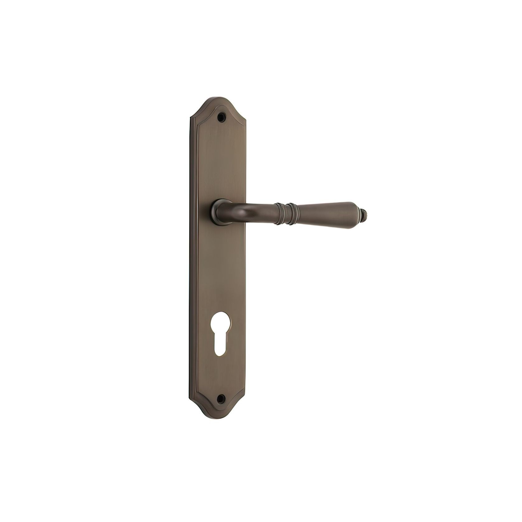 Iver Sarlat Lever Door Handle on Shouldered Backplate Signature Brass gallery detail image