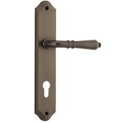 Iver Sarlat Lever Door Handle on Shouldered Backplate Signature Brass gallery detail image