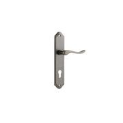 Iver Stirling Lever on Shouldered Backplate Distressed Nickel gallery detail image