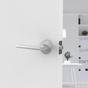 Raglan Lever Handle In Matt Brushed Nickel gallery detail image