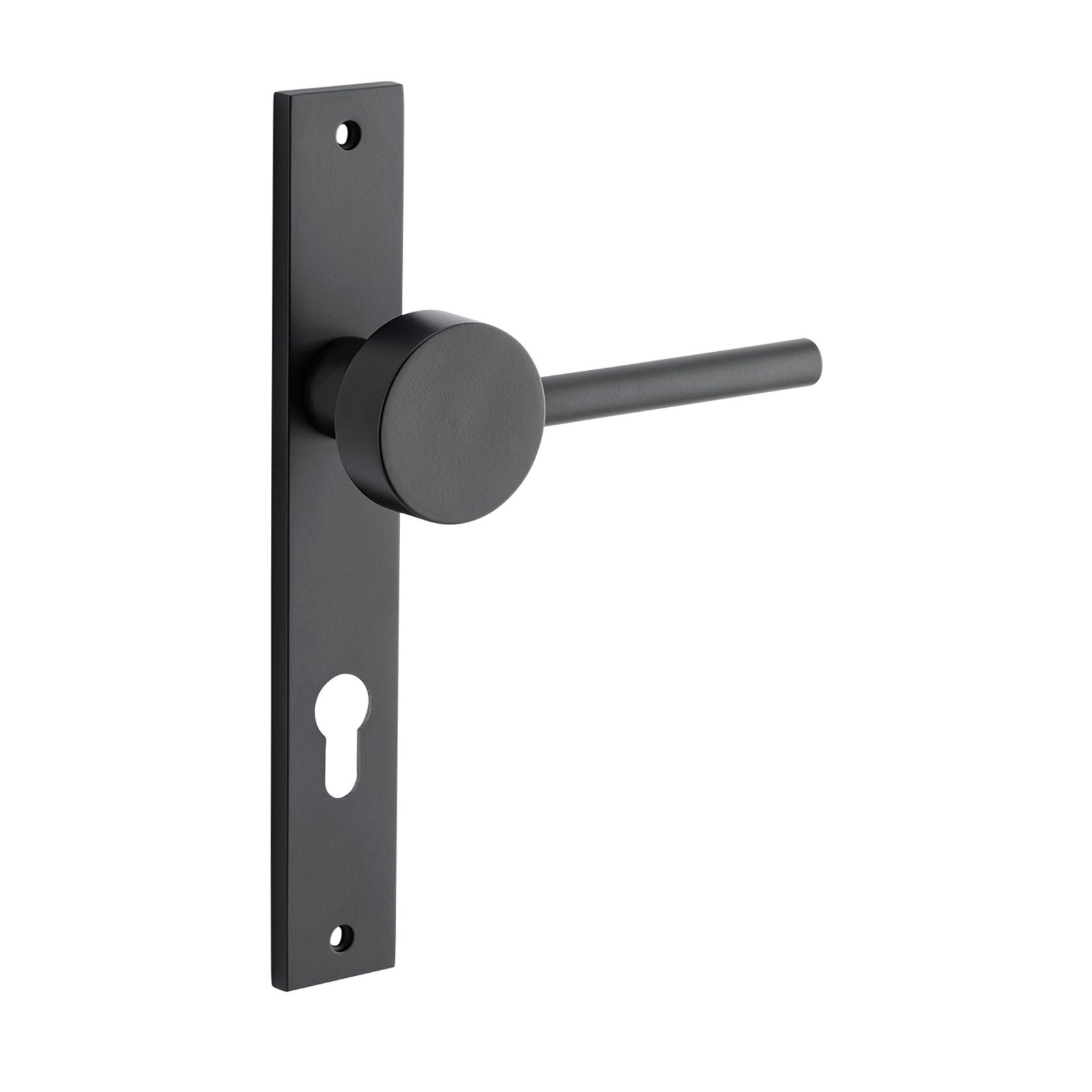 Bankston Sans Arc Gepetto Door Lever Handle gallery detail image
