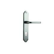 Door Lever on Shouldered Backplate Satin Nickel gallery detail image