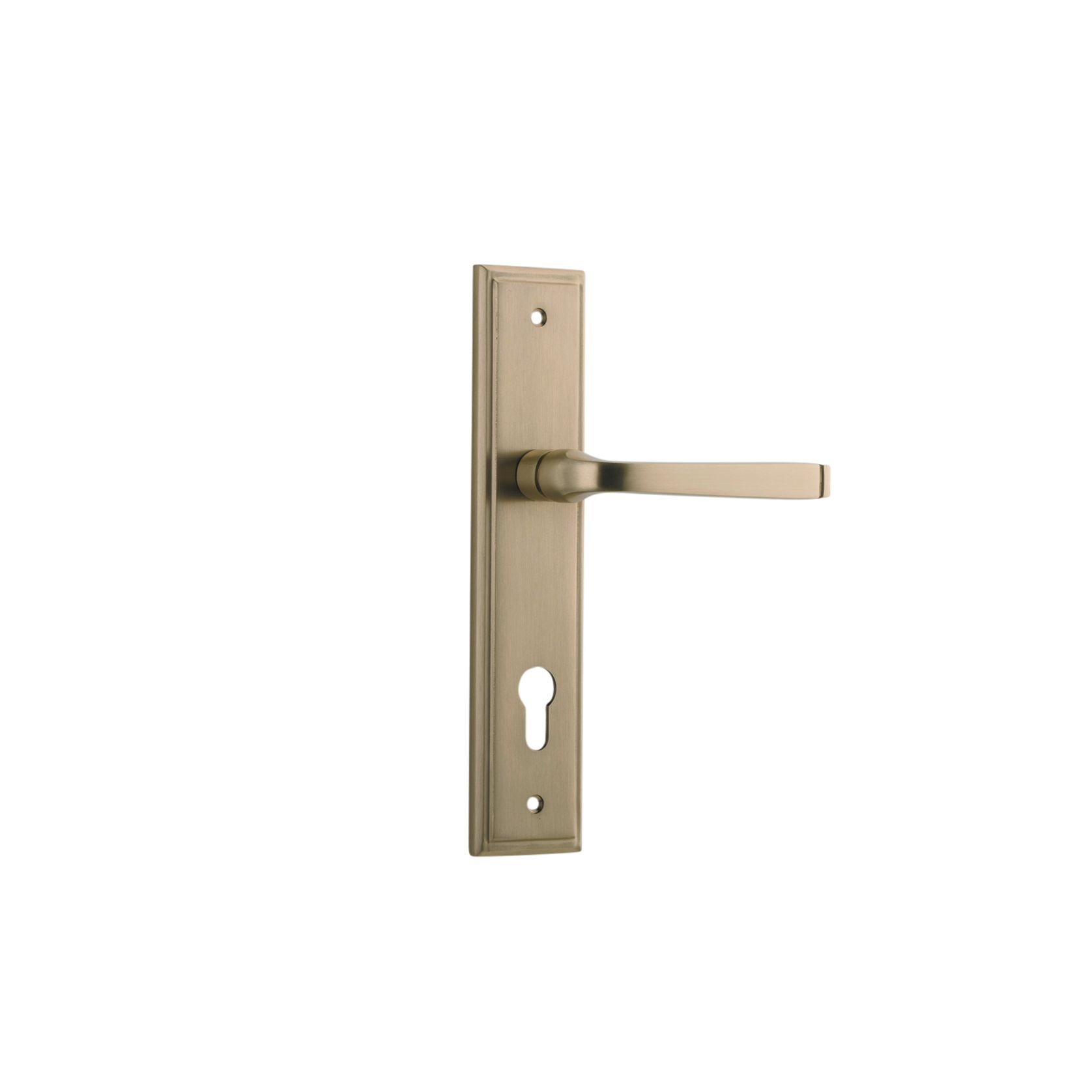 Iver Annecy Door Lever on Stepped Backplate Euro Brushed Brass 15244E85 - Customise to your need gallery detail image