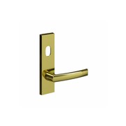 Legge 700 Series Cisa (59) Door Furniture gallery detail image