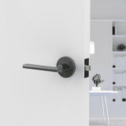 Raglan Lever Handle In Nickel Graphite gallery detail image