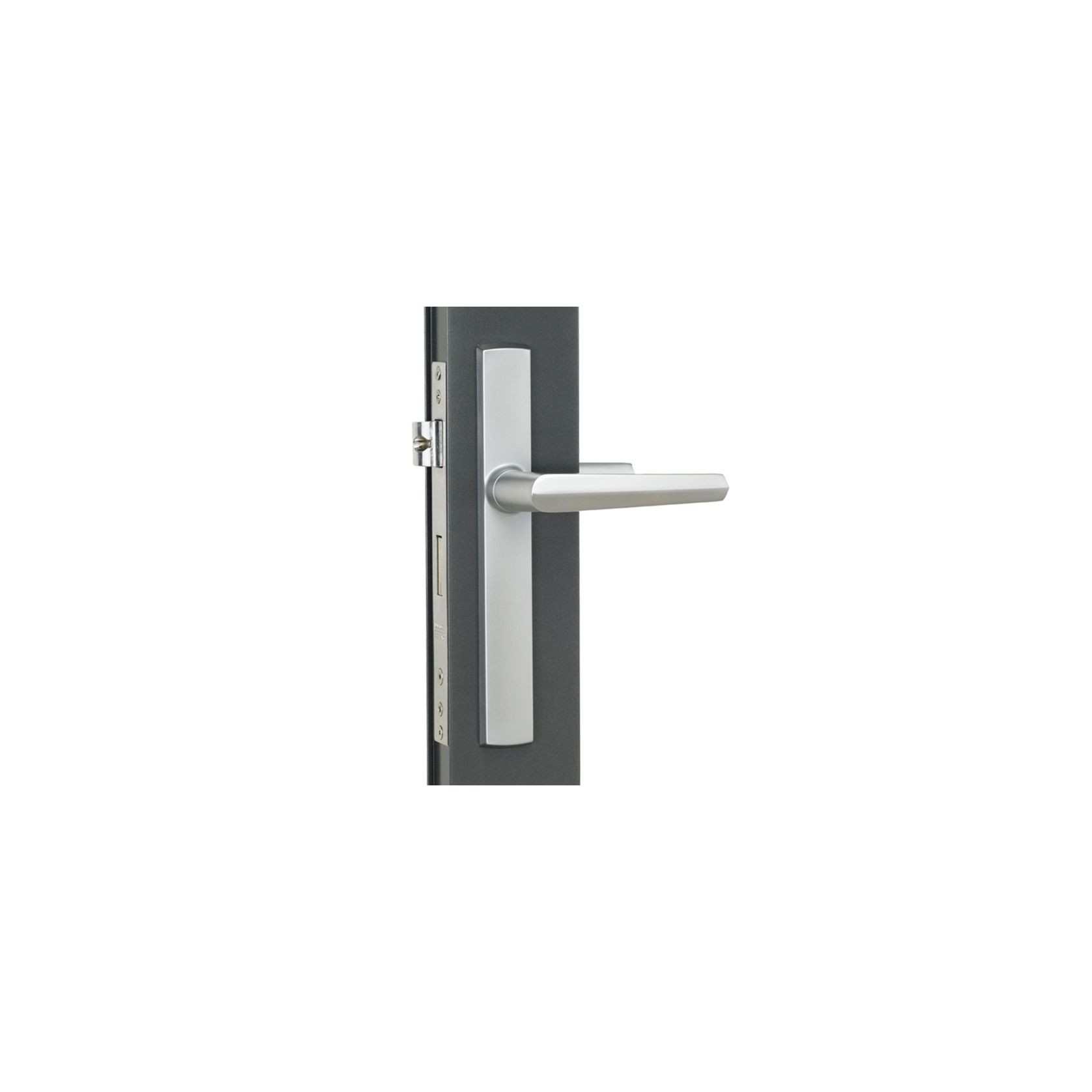 Aria Hinged Door Handle gallery detail image