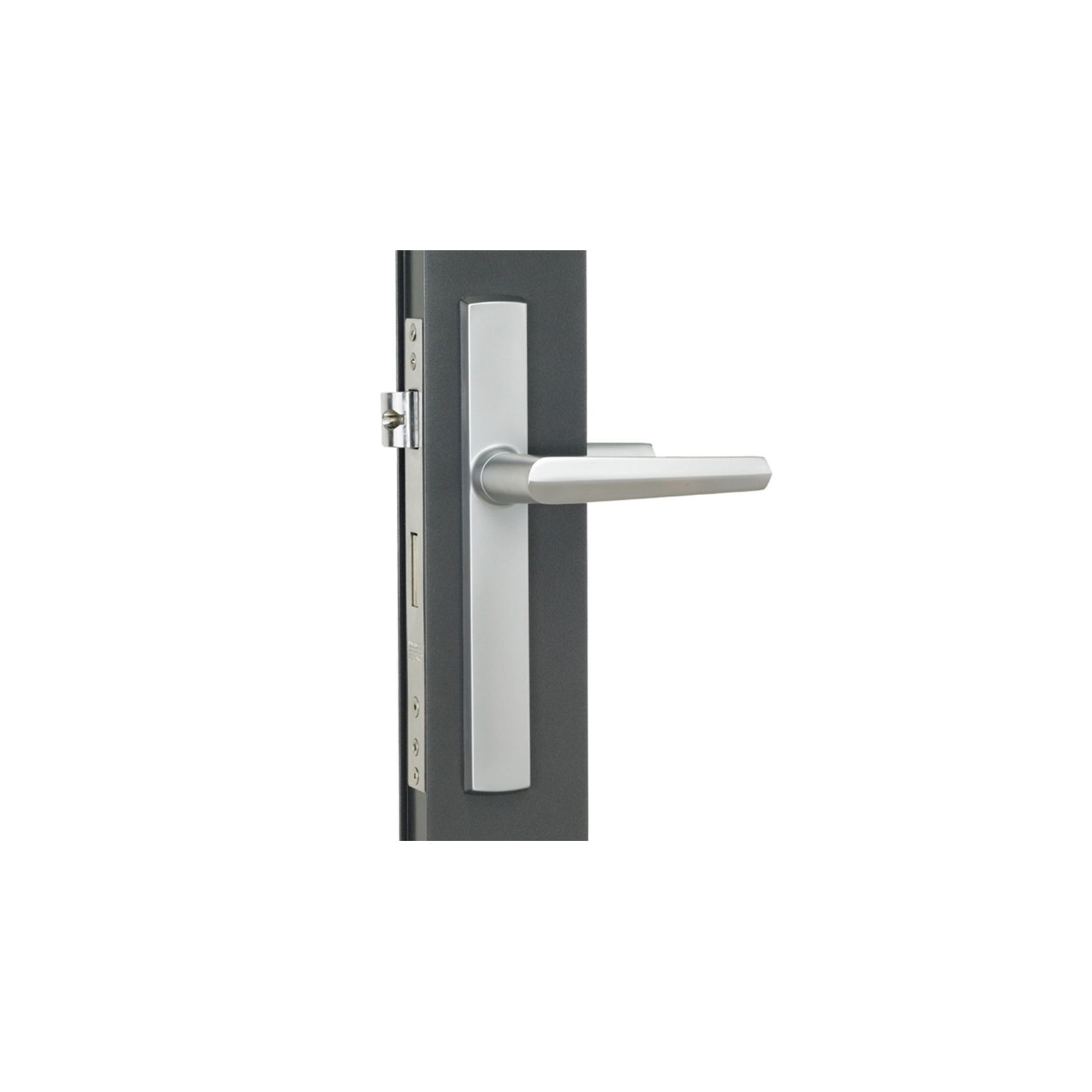 Aria Hinged Door Handle gallery detail image