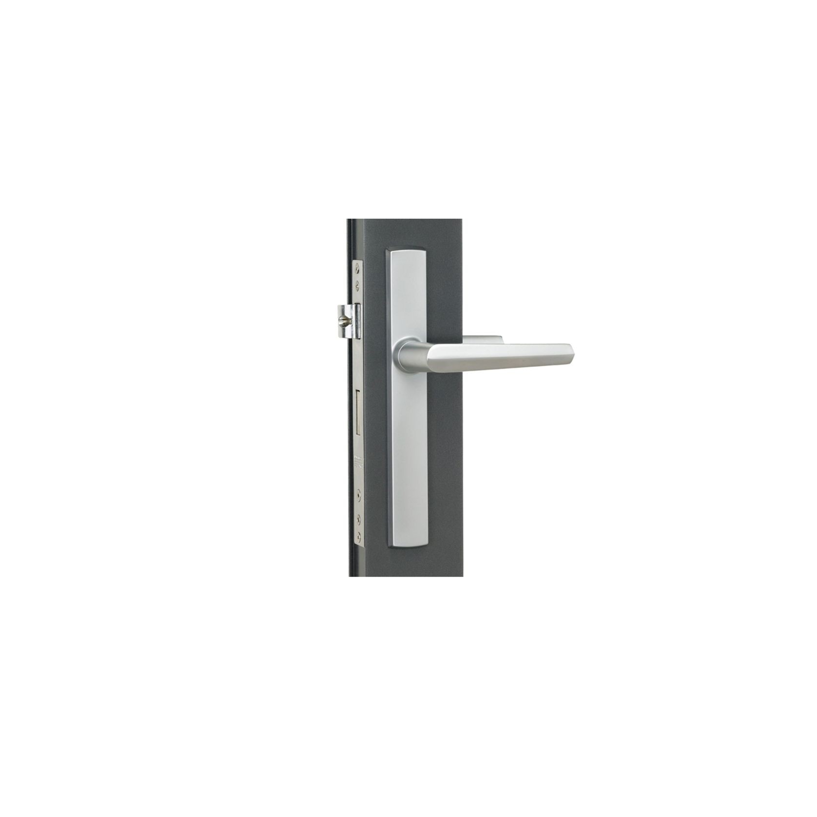 Aria Hinged Door Handle gallery detail image