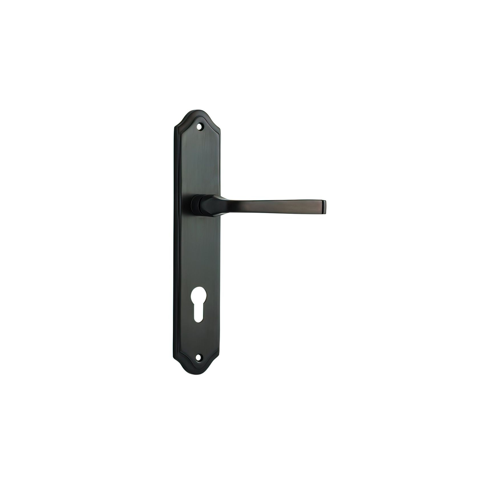 Door Lever on Shouldered Backplate Signature Brass gallery detail image