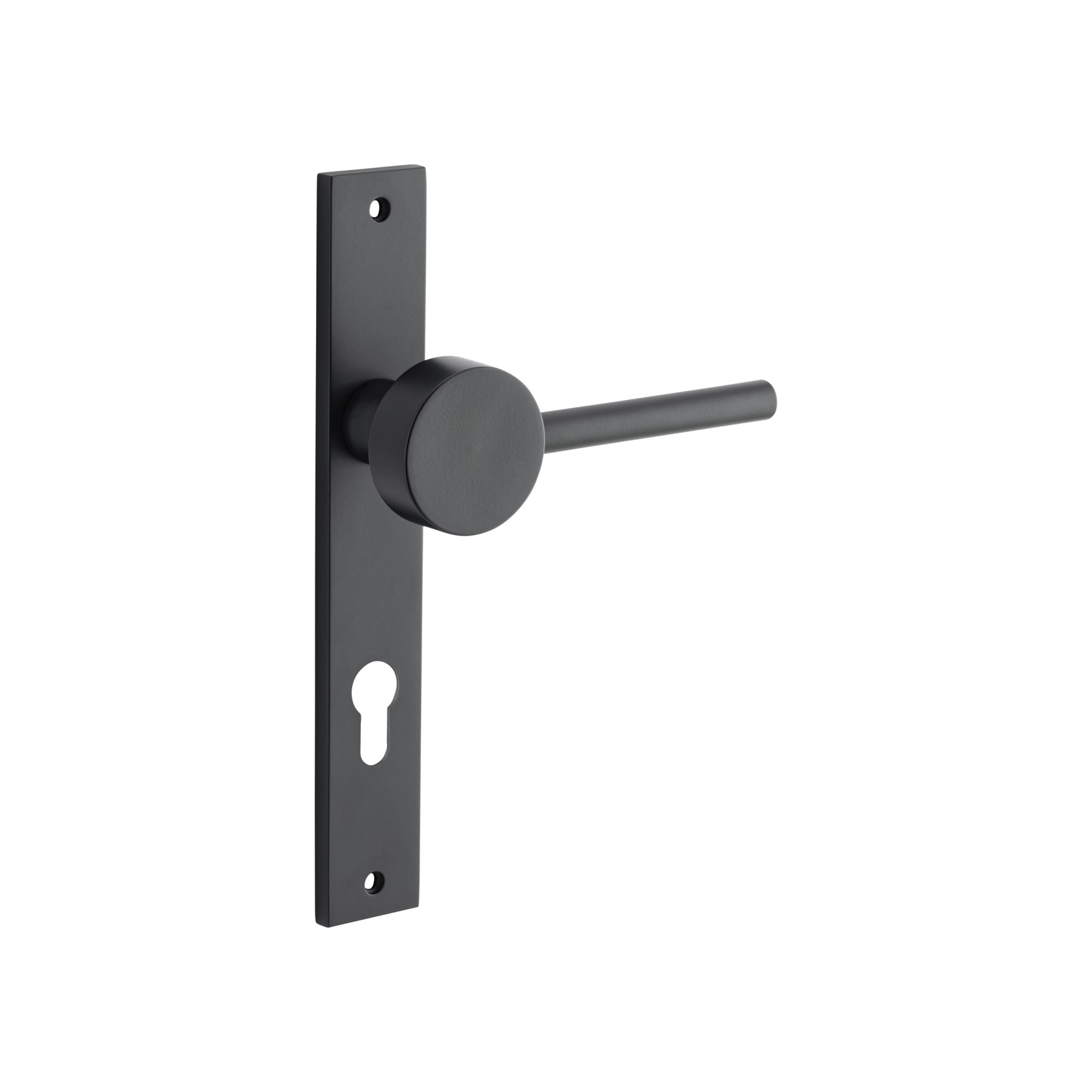 Geppetto Door Lever - Rectangular Backplate gallery detail image
