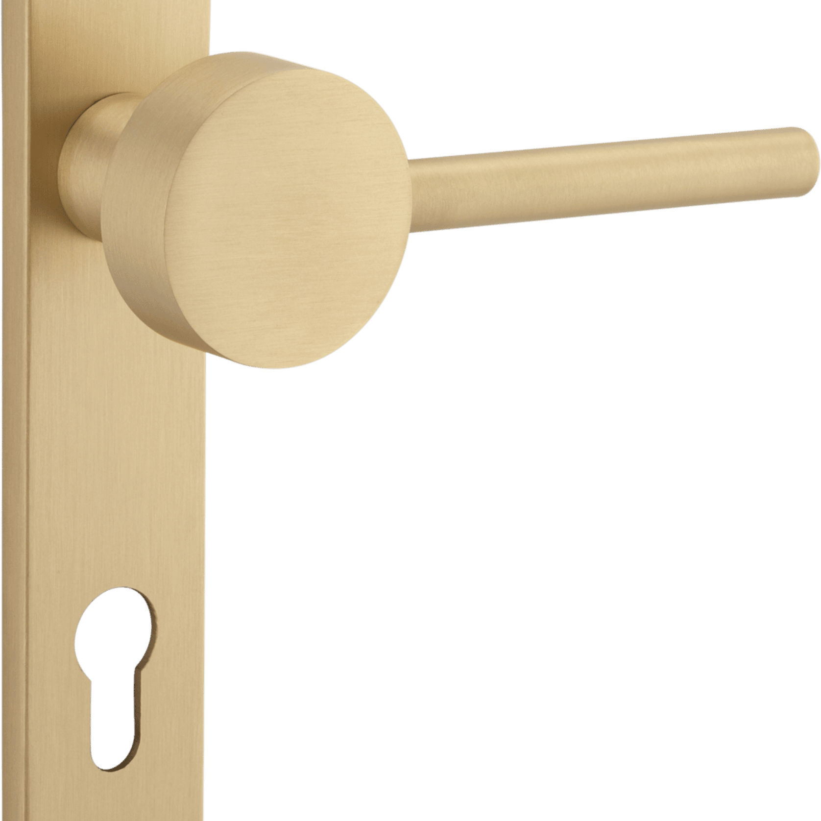 Geppetto Door Lever - Oval Backplate gallery detail image