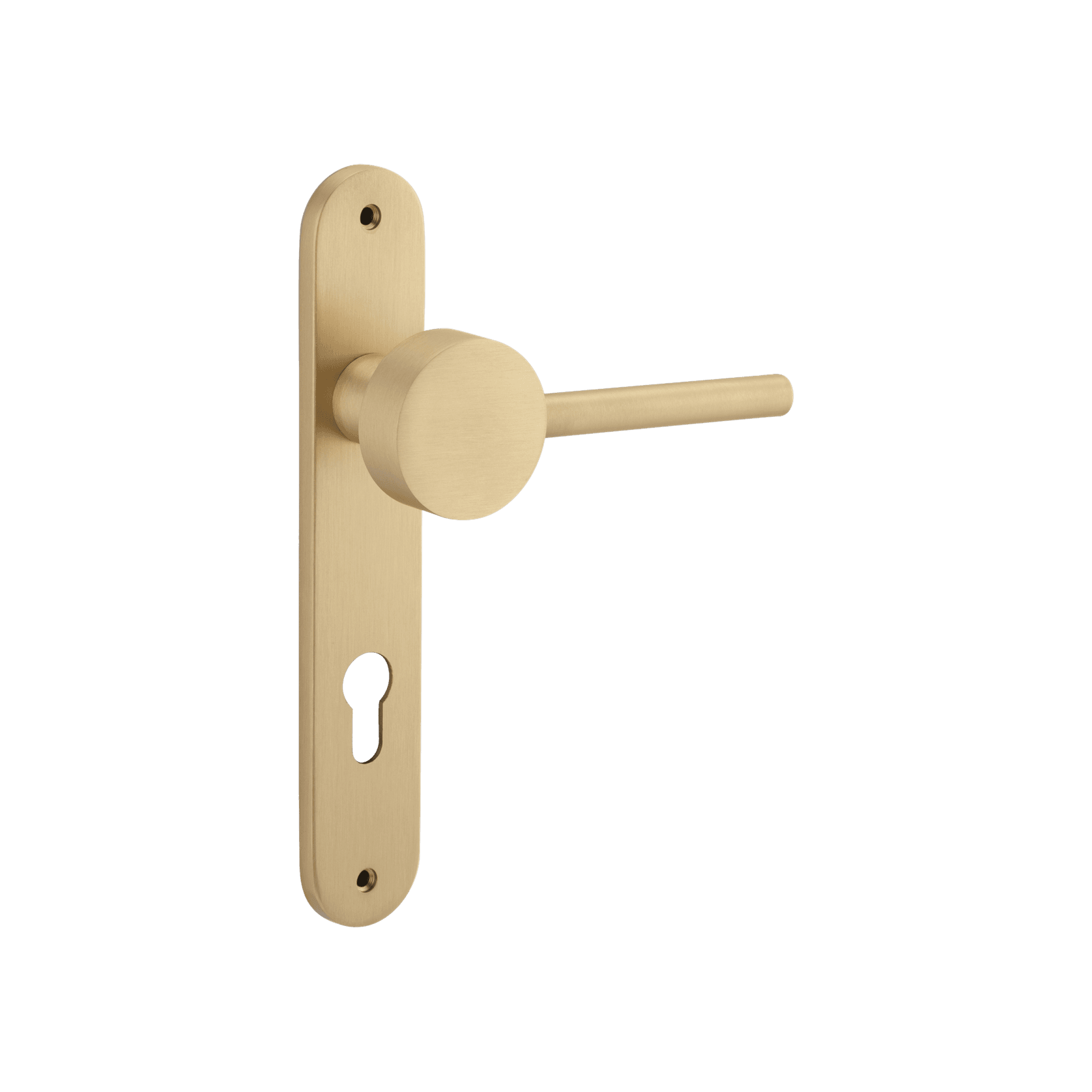 Geppetto Door Lever - Oval Backplate gallery detail image