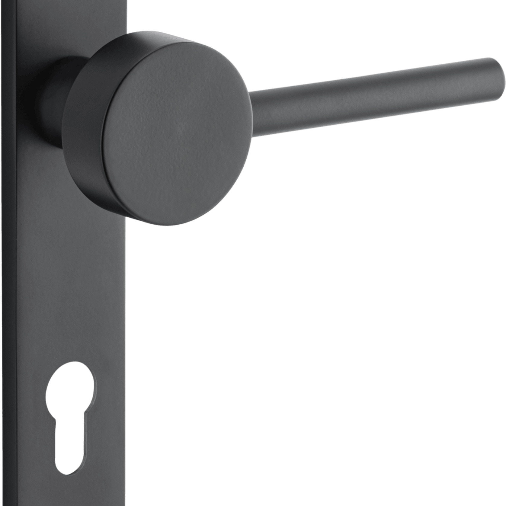 Geppetto Door Lever - Oval Backplate gallery detail image