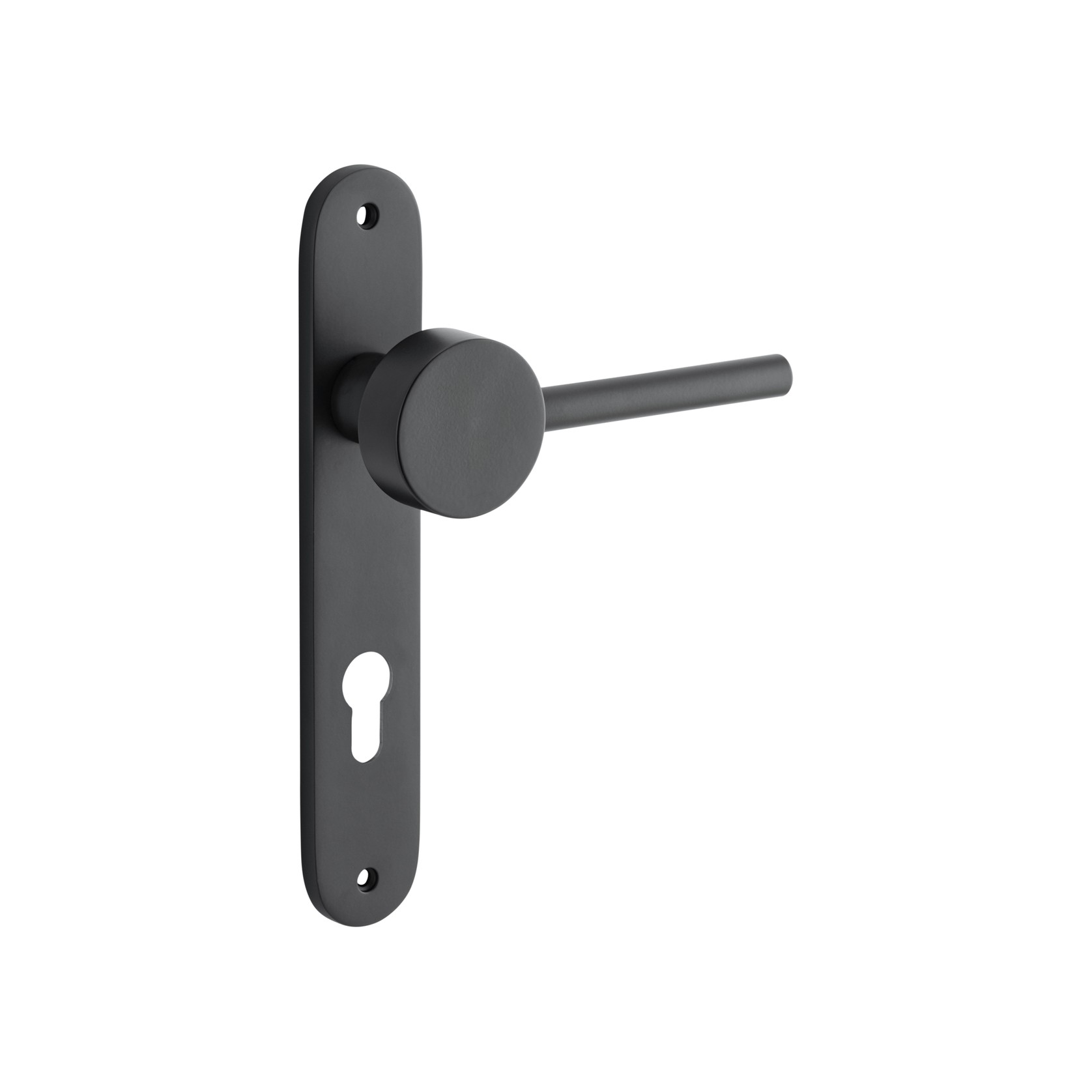 Geppetto Door Lever - Oval Backplate gallery detail image