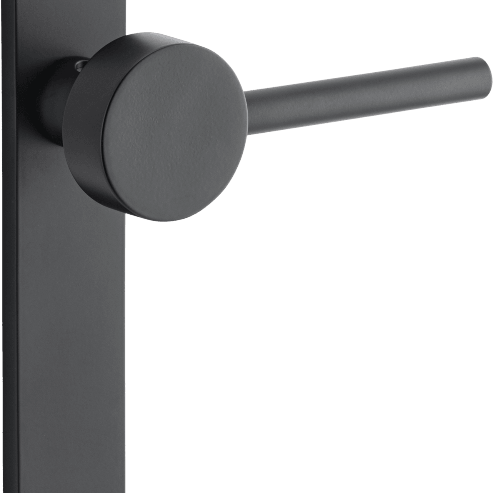 Geppetto Door Lever - Oval Backplate gallery detail image