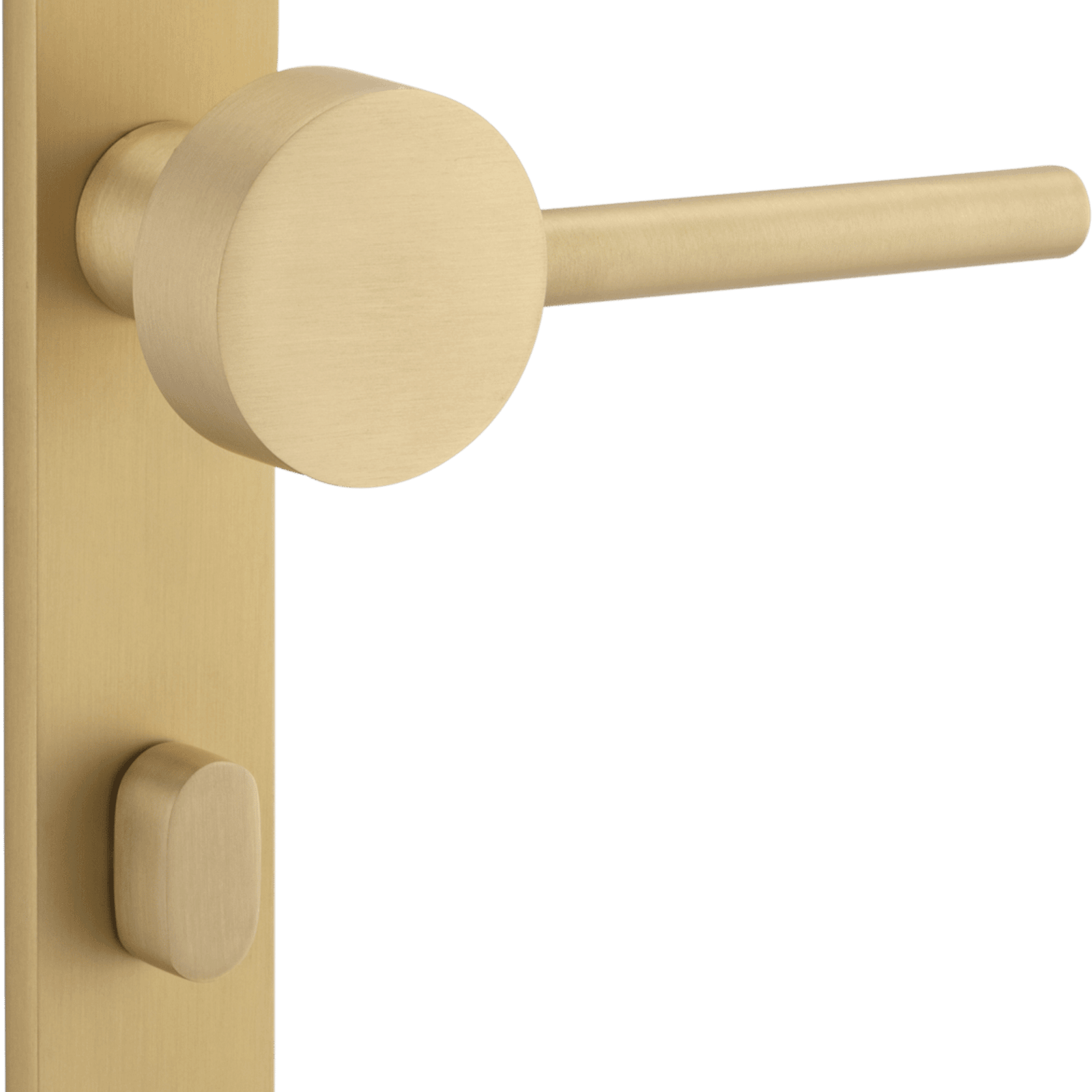 Geppetto Door Lever - Oval Backplate gallery detail image