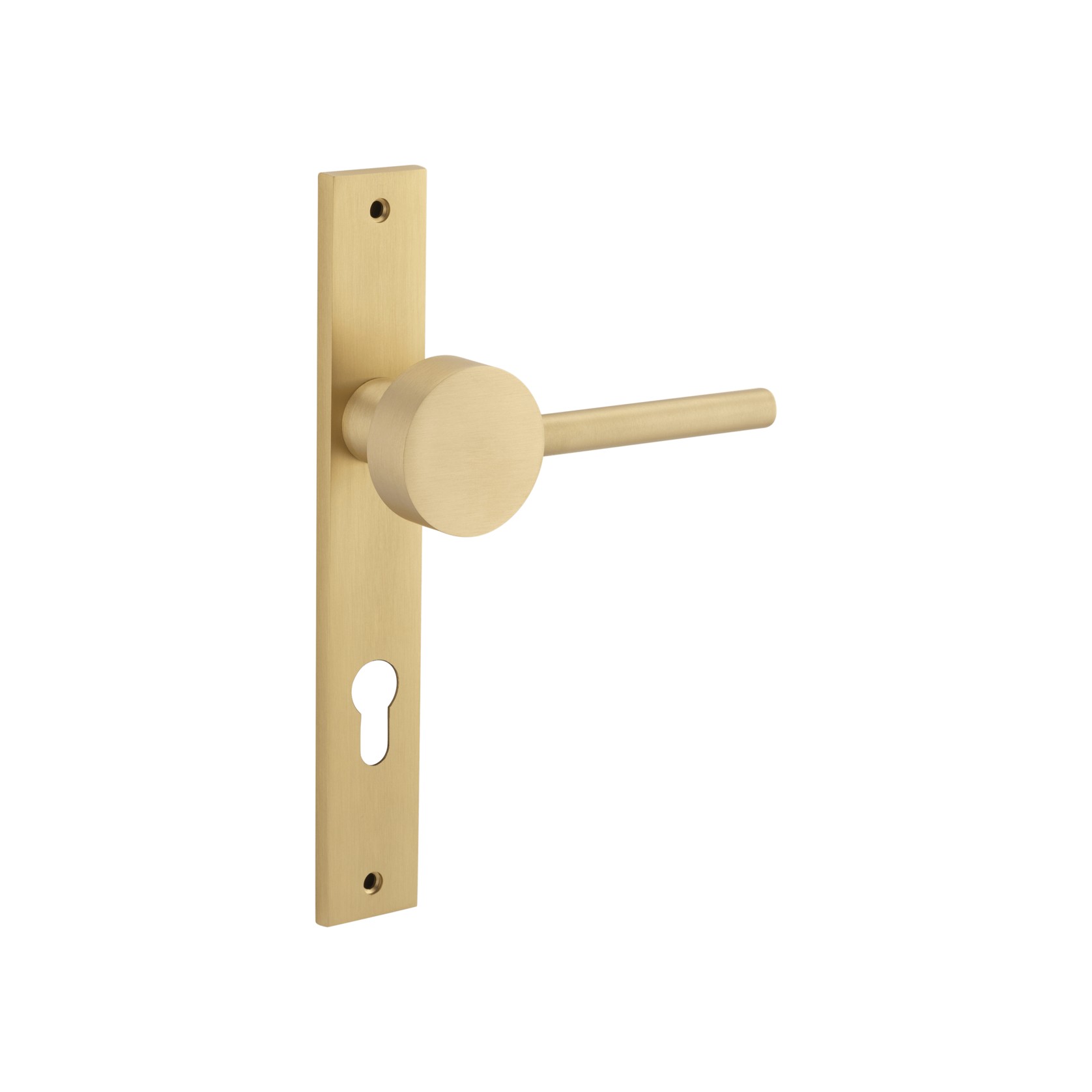 Geppetto Door Lever - Rectangular Backplate gallery detail image