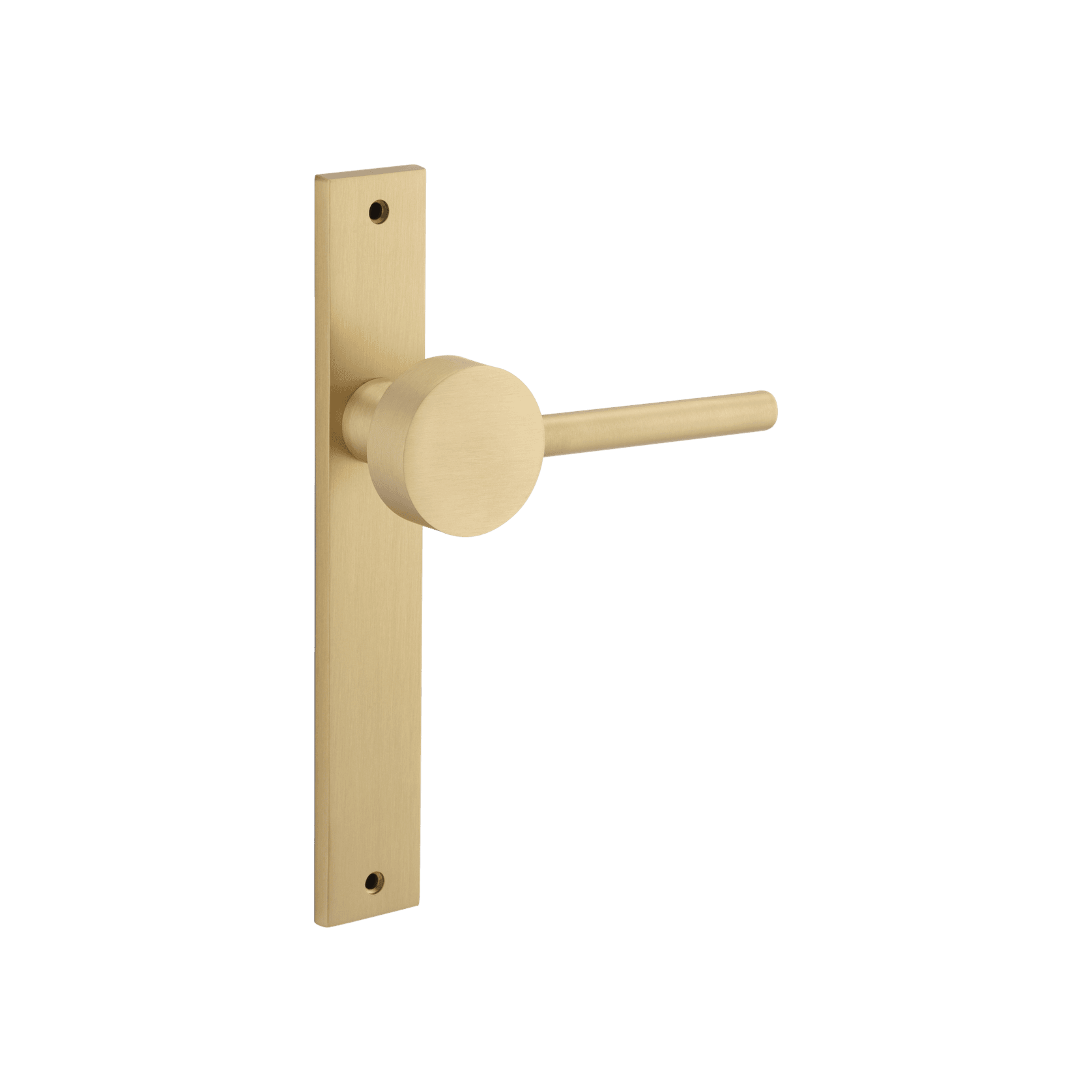 Geppetto Door Lever - Rectangular Backplate gallery detail image