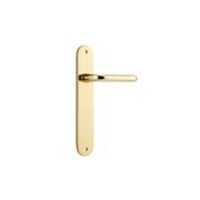 Oslo Door Lever Oval Backplate gallery detail image
