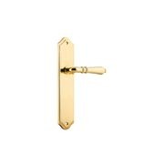 Sarlat Door Lever Shouldered Backplate gallery detail image