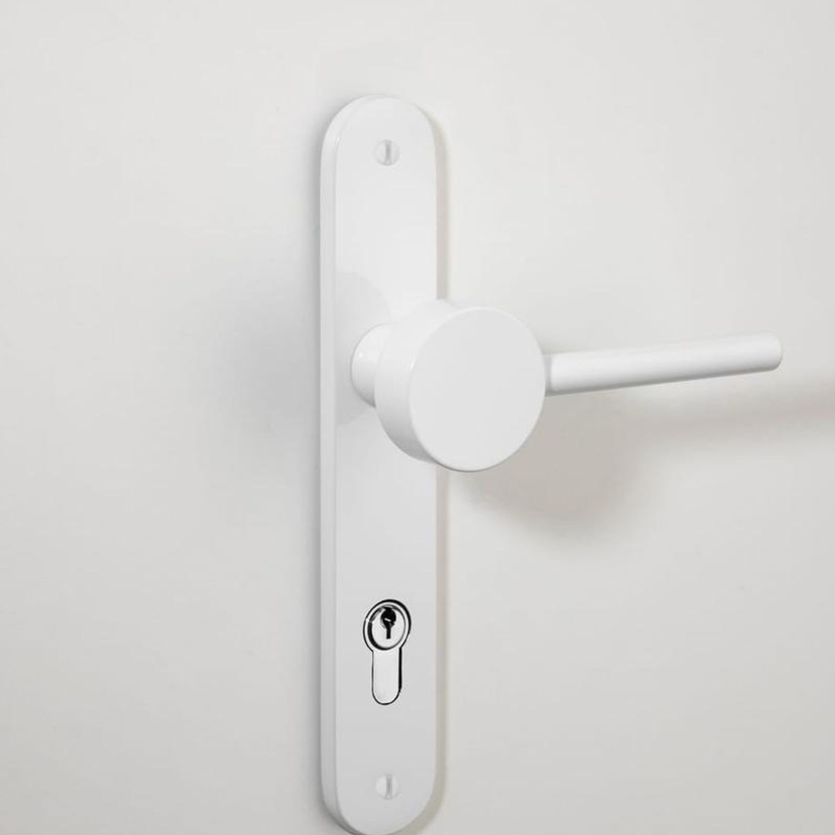 Geppetto Door Lever - Oval Backplate gallery detail image