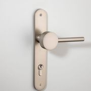 Geppetto Door Lever - Oval Backplate gallery detail image