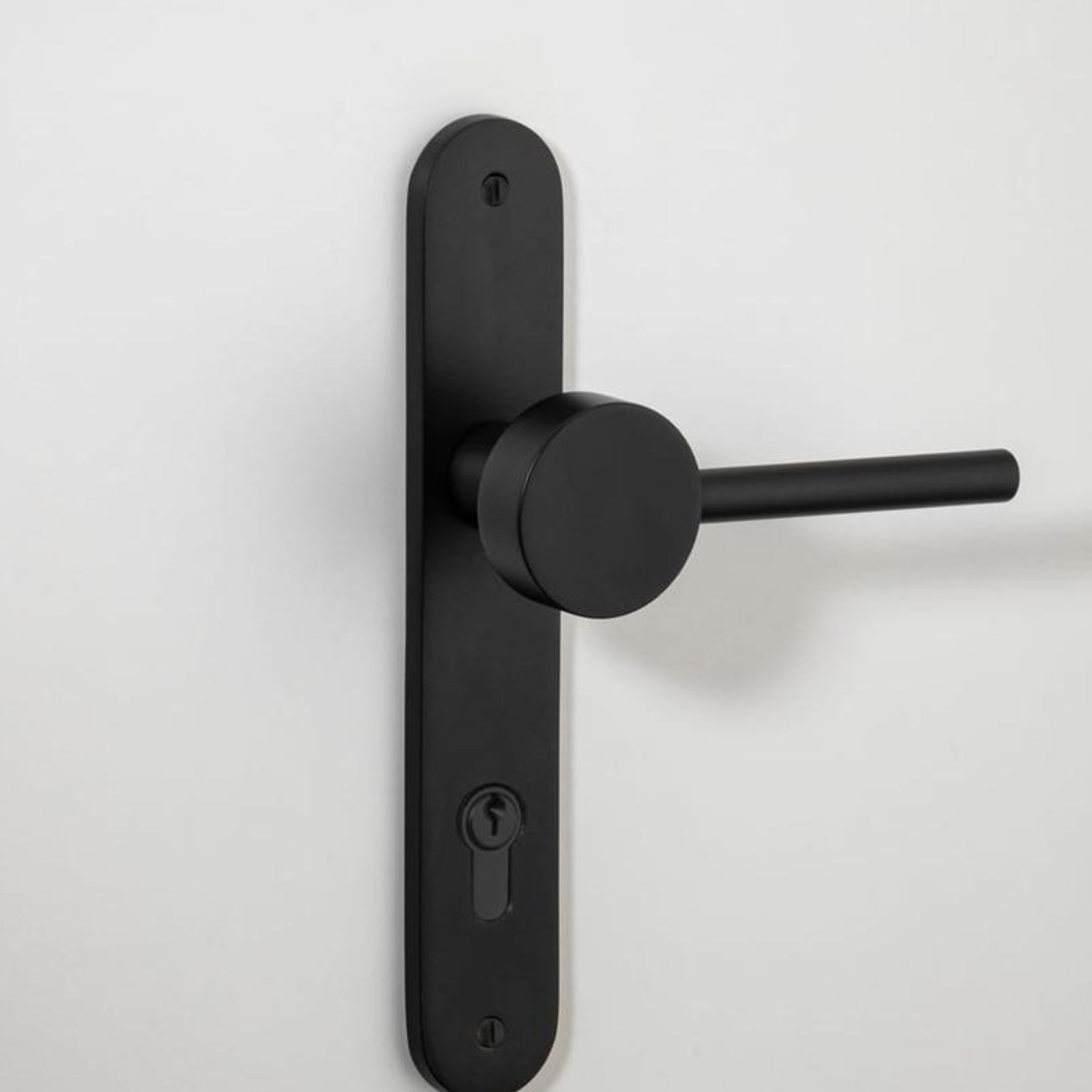 Geppetto Door Lever - Oval Backplate gallery detail image