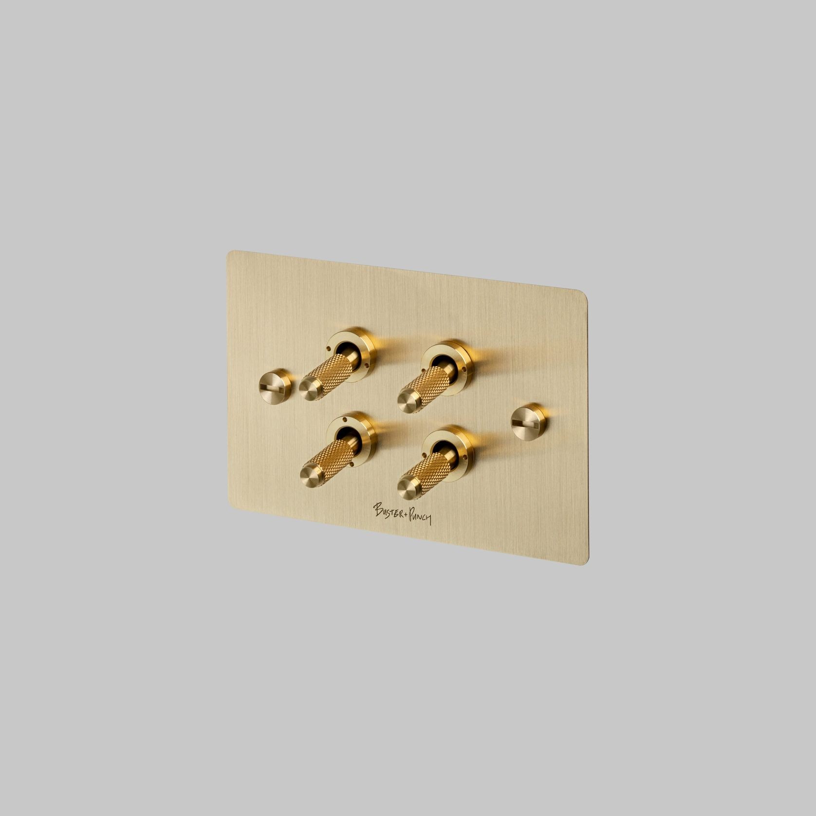 4G Toggle Switch | Buster + Punch gallery detail image