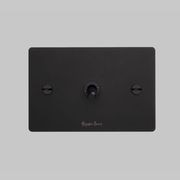 1G Toggle Switch | Buster + Punch gallery detail image
