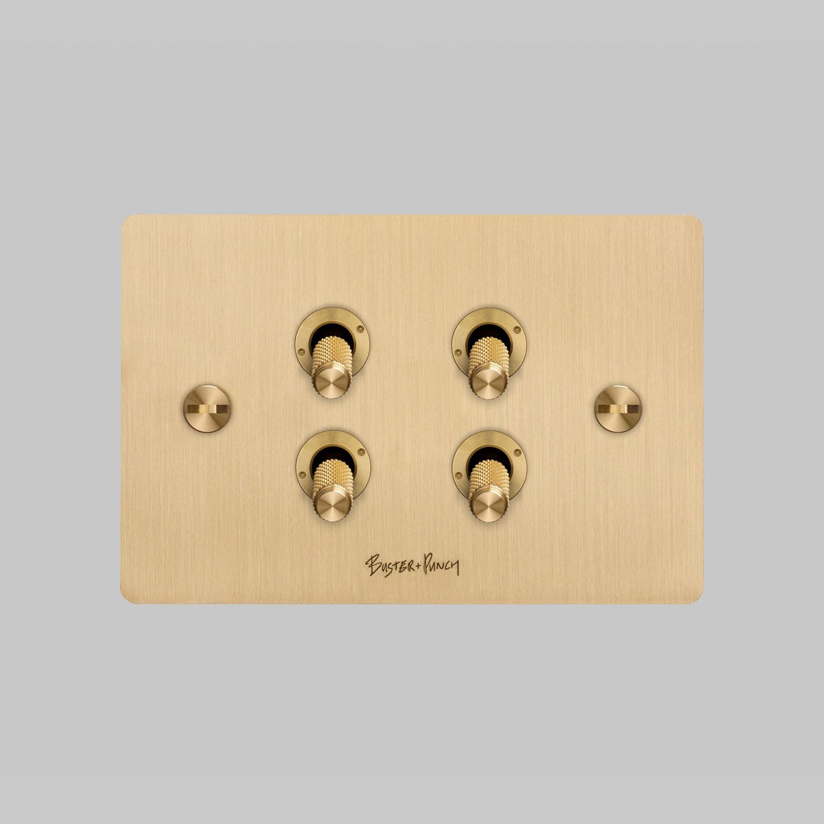 4G Toggle Switch | Buster + Punch gallery detail image