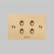 4G Toggle Switch | Buster + Punch gallery detail image