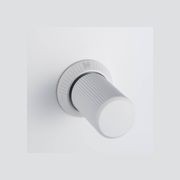 2G Toggle + Dimmer | Vertical | Linear gallery detail image