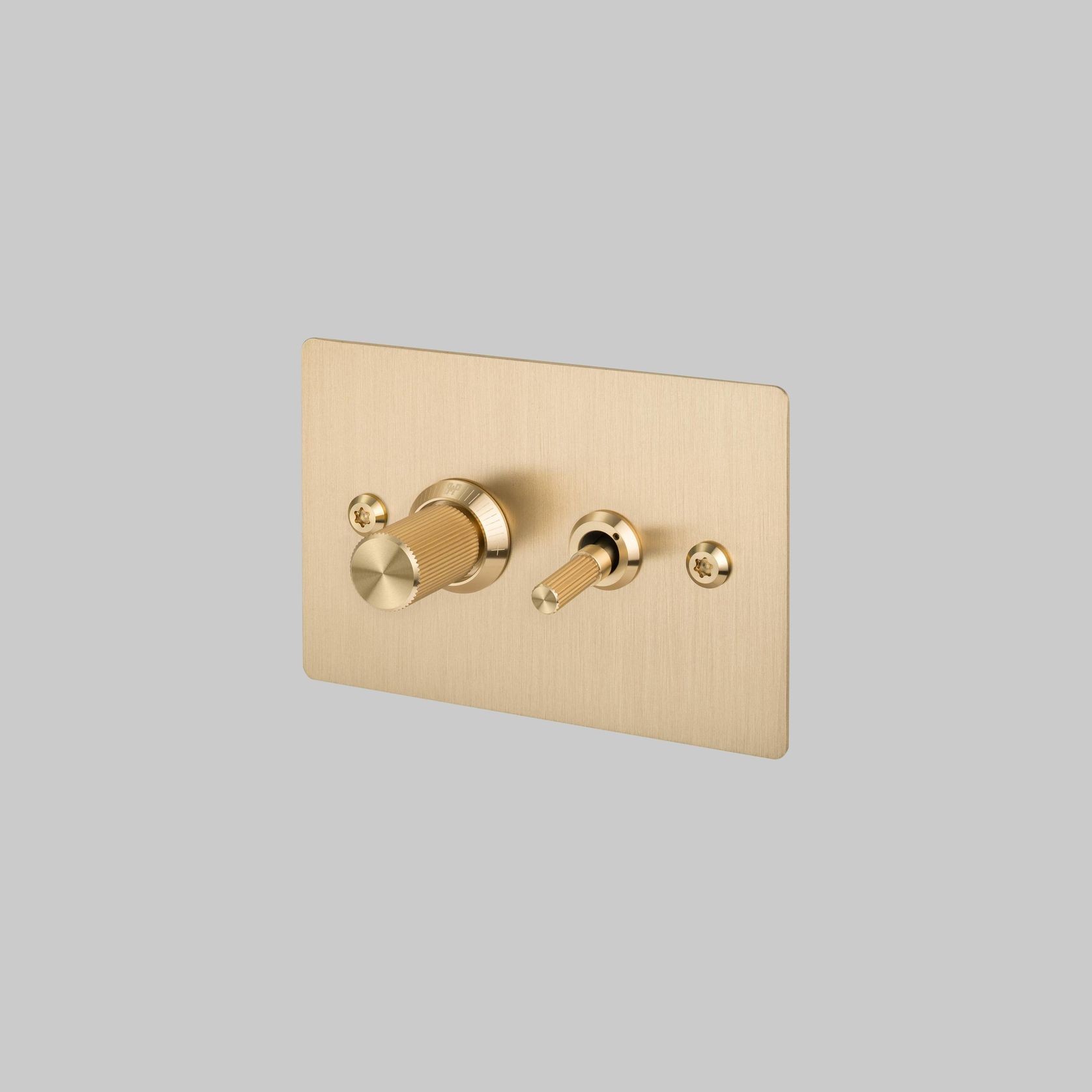 2G Toggle + Dimmer | Horizontal | Linear gallery detail image