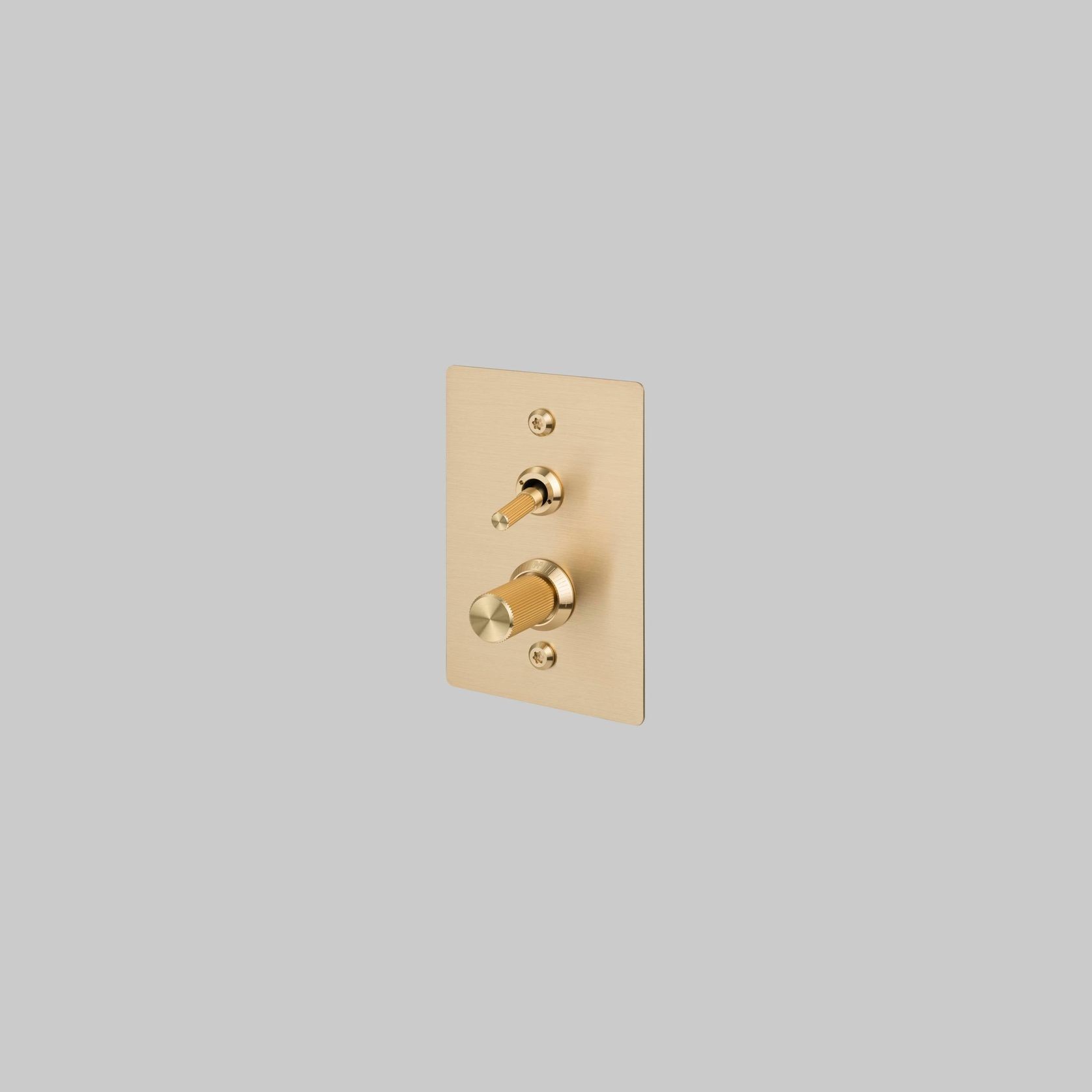2G Toggle + Dimmer | Vertical | Linear gallery detail image