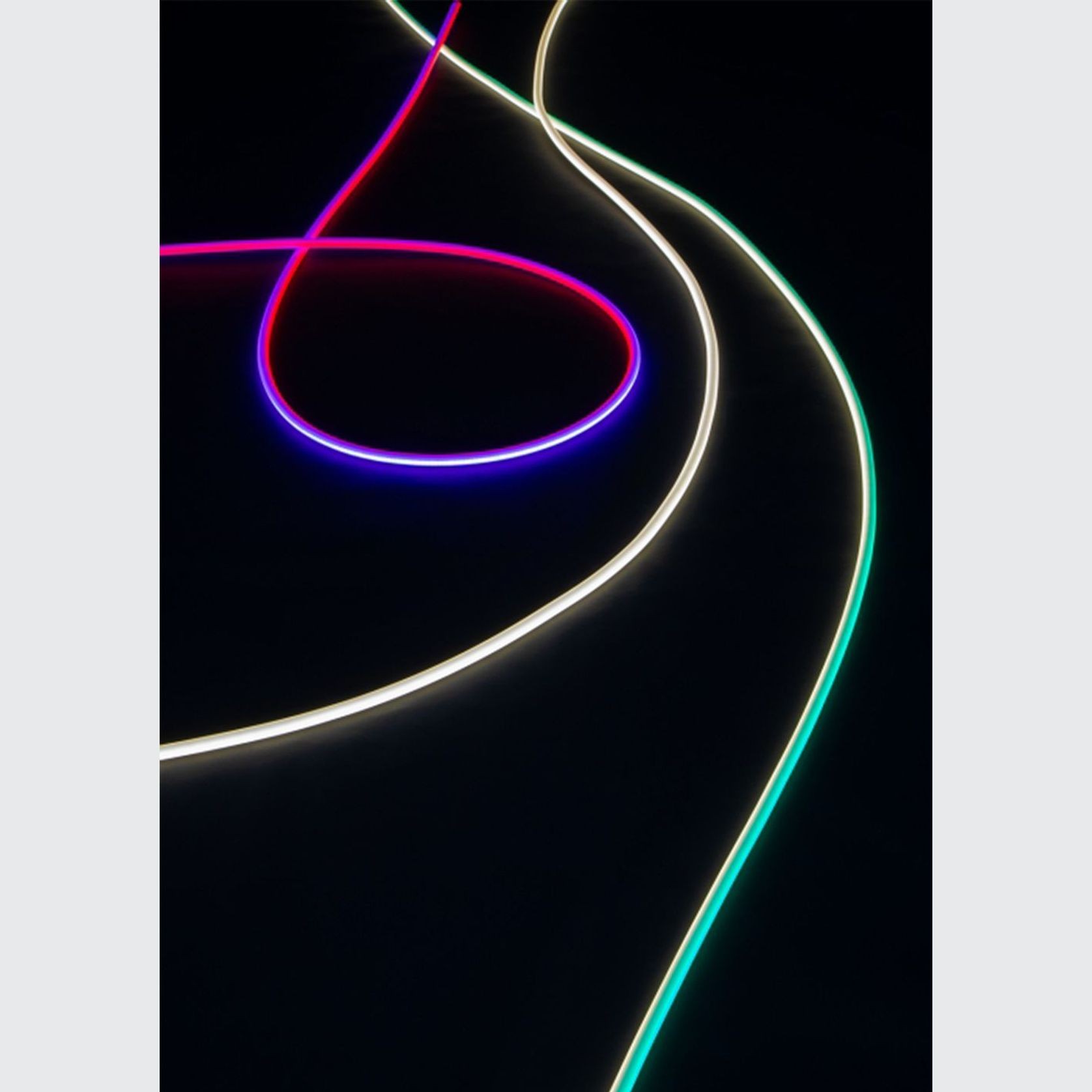 Archetto Freedom gallery detail image