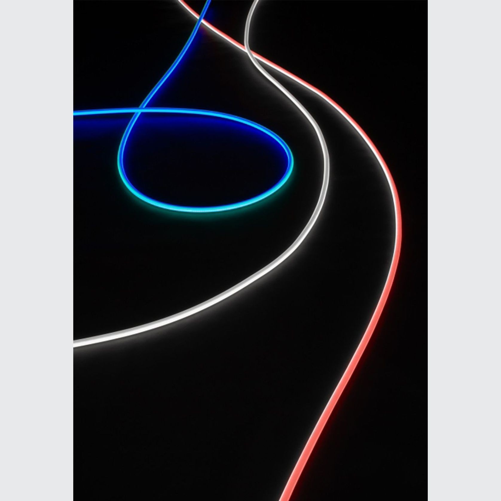 Archetto Freedom gallery detail image