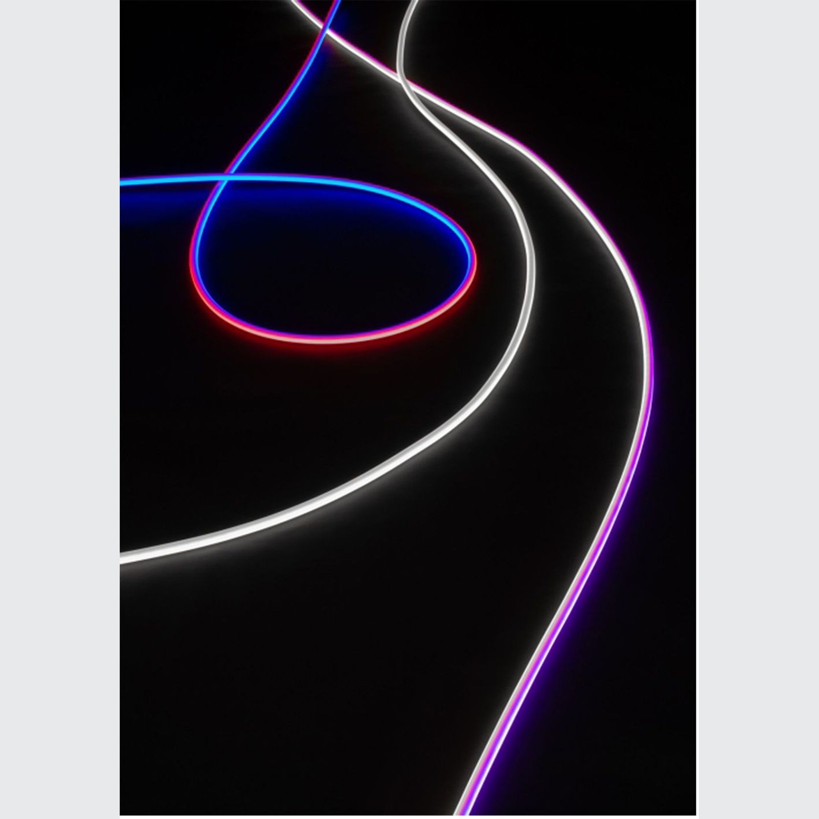 Archetto Freedom gallery detail image