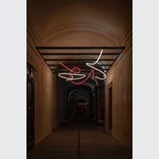 Archetto Freedom gallery detail image