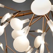 Heracleum III Linear Suspension Lamp gallery detail image