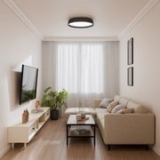 Kinglet Ribbed Ceiling Light gallery detail image