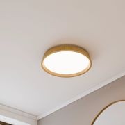 Kinglet Ribbed Ceiling Light gallery detail image