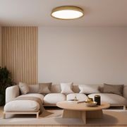 Kinglet Ribbed Ceiling Light gallery detail image
