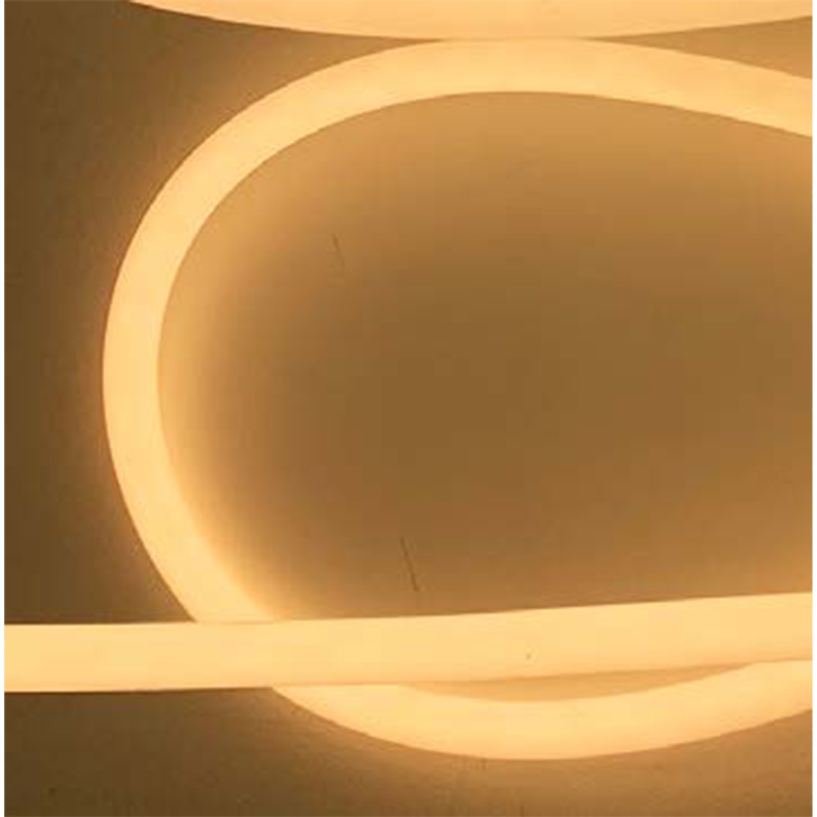 Snake 360º gallery detail image