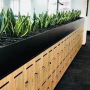 Melody Laminate Lockers gallery detail image