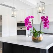 Natural Stone Slabs | Bianco Carrara  Marble gallery detail image