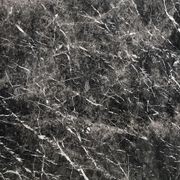 Natural Stone Slabs | Grigio Carnico Marble gallery detail image