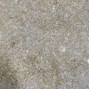 Seagrass Marble Pavers Flamed & Tumbled gallery detail image