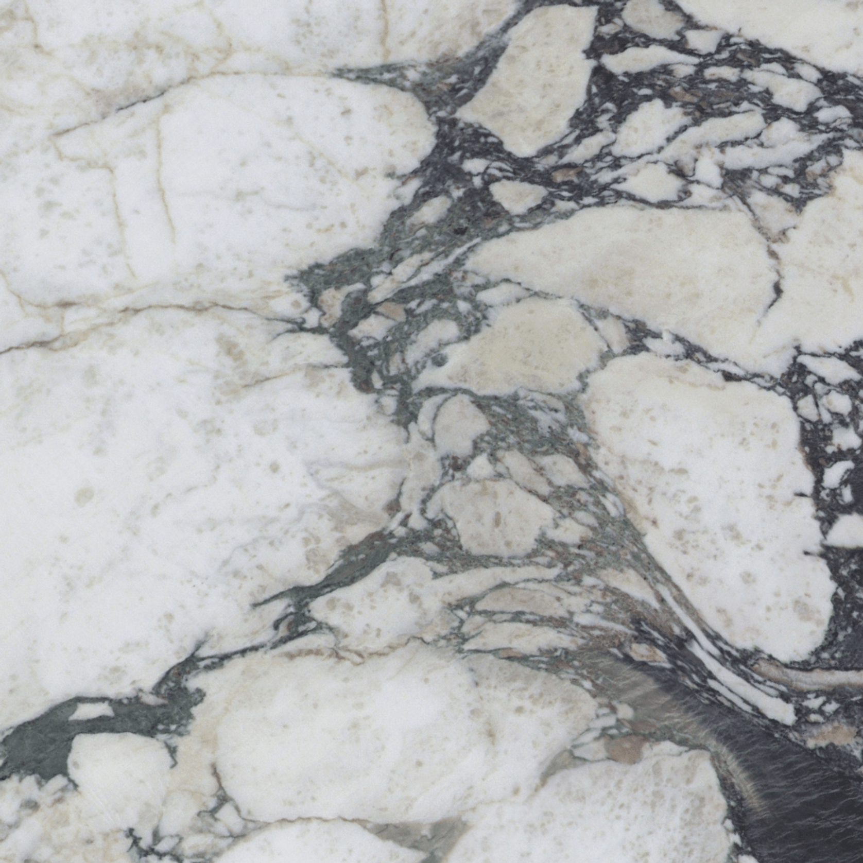 Calacatta Viola Marble gallery detail image